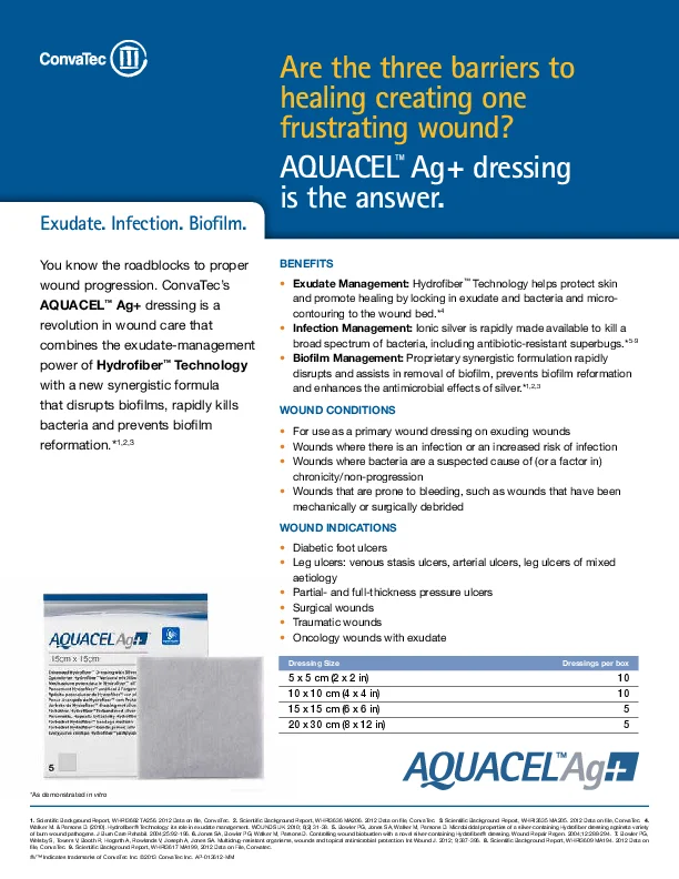 interfaz gráfica de usuario, texto, aplicación, Word