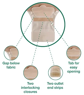 Schemat części ciała