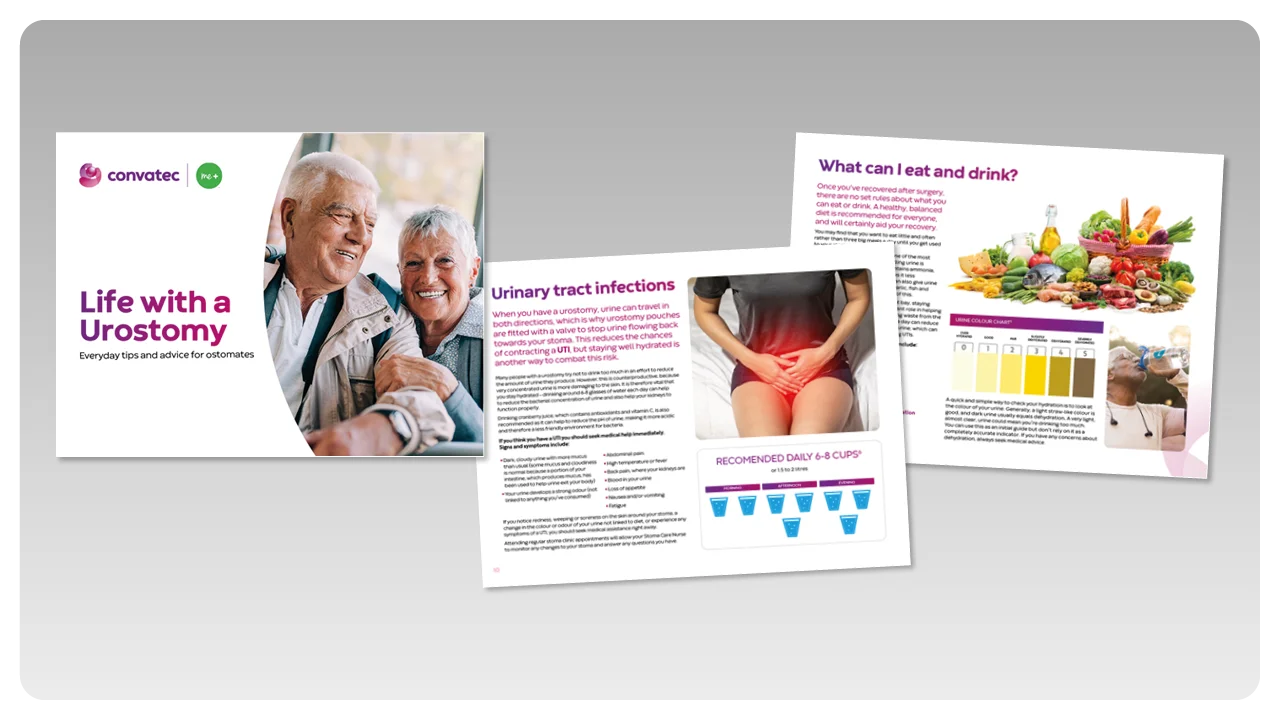 Interfaccia utente grafica