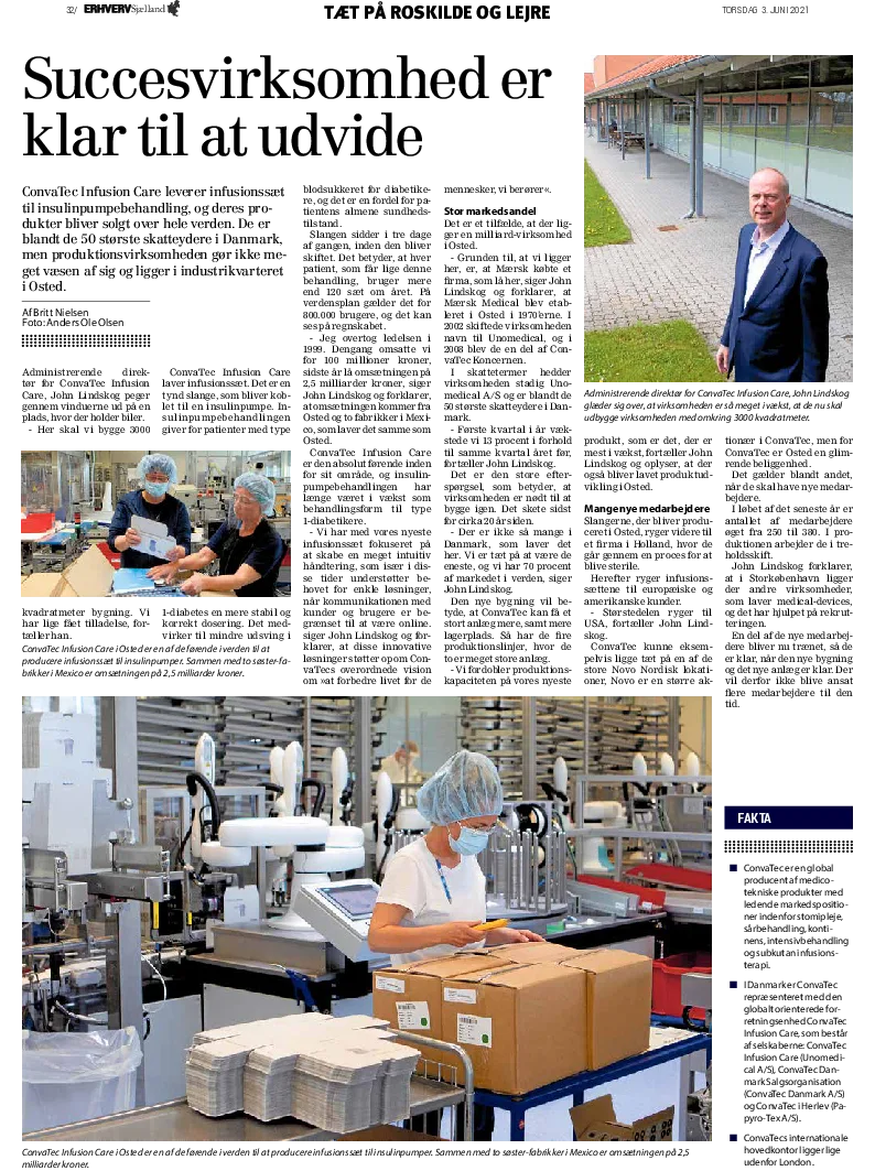 Roskilde Artikel Dansk