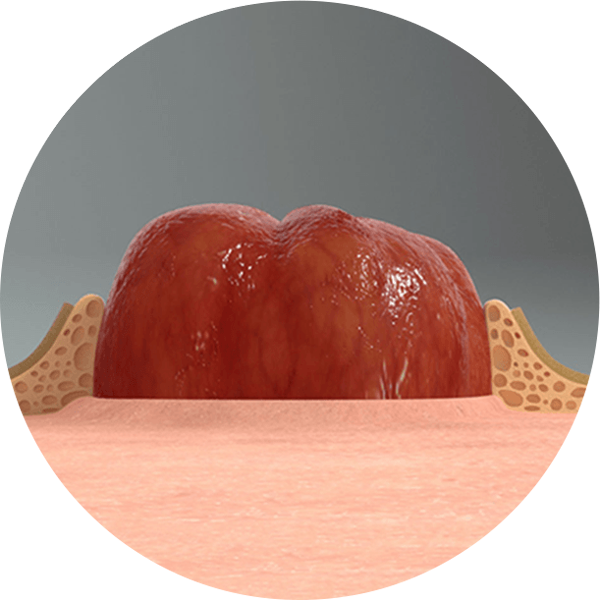 un primo piano di una palla rossa e bianca